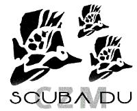 SCUBA DU CZM