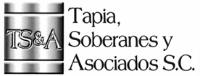 TS&A TAPIA SOBERANES Y ASOCIADOS; S.C.