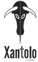 XANTOLO BY ZUVIRI