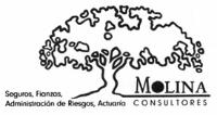 MOLINA SEGUROS FIANZAS; ADMINISTRACIÓN DE RIESGOS; ACTUARIA CONSULTORES