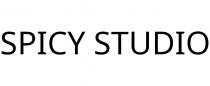 SPICY STUDIO