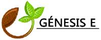 GÉNESIS E
