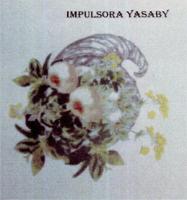 IMPULSORA YASABY