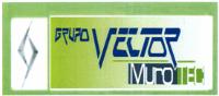 GRUPO VECTOR MURO TEC