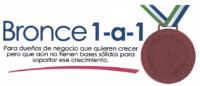 BRONCE 1 A 1 PARA DUEÑOS DE NEGOCIO QUE QUIEREN CRECER PERO QUE AUN NO;TIENEN BASES SOLIDAS PARA SOPORTAR ESE CRECIMIENTO.