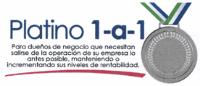 PLATINO 1 A 1 PARA DUEÑOS DE NEGOCIO QUE NECESITAN SALIRSE DE LA OPERACIÓN DE SU EMPRESA LO ANTES POSIBLE MANTENIENDO O INCREMENTANDO SUS NIVELES DE RENTABILIDAD