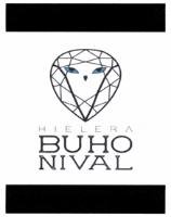 BUHO NIVAL