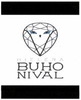 BUHO NIVAL