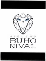 BUHO NIVAL