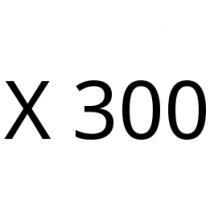 X 300