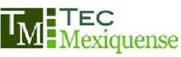 TEC MEXIQUENSE