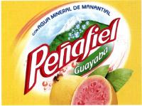PEÑAFIEL GUAYABA