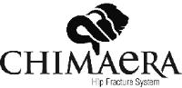 CHIMAERA HIP FRACTURE SYSTEM