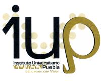 IUP. INSTITUTO UNIVERSITARIO PUEBLA.