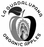 LA GUADALUPANA ORGANIC APPLES