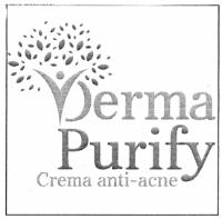 DERMA PURIFY CREMA ANTI-ACNE