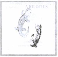 AJOLOTIUS