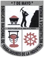 SINDICATO NACIONAL DE TRABAJADORES DE LA INDUSTRIA METALURGICA Y MINERA 