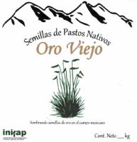 ORO VIEJO SEMBRANDO SEMILLAS DE ORO EN EL CAMPO MEXICANO