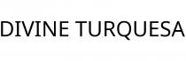 DIVINE TURQUESA
