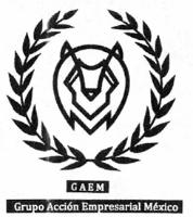 GAEM GRUPO ACCION EMPRESARIAL MEXICO