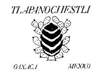 TLAPANOCHESTLI