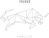 ENGYLIFE TAURUS