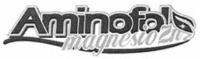AMINOFOL MAGNESIO ZN