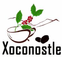 XOCONOSTLE