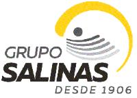 GRUPO SALINAS DESDE 1906