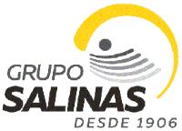 GRUPO SALINAS DESDE 1906 (Y DISEÑO)