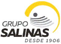 GRUPO SALINAS DESDE 1906