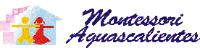 MONTESSORI AGUASCALIENTES