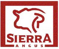 SIERRA ANGUS