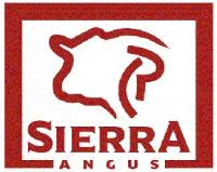 SIERRA ANGUS