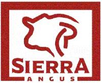 SIERRA ANGUS