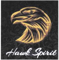 HAWK SPIRIT