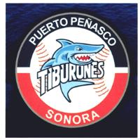 PUERTO PEÑASCO TIBURONES SONORA