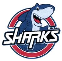SHARKS MR GABO