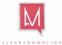 AM ALVARADO MOLINA
