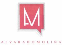 AM ALVARADO MOLINA