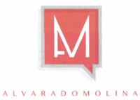 AM ALVARADO MOLINA