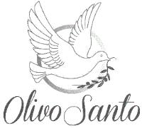 OLIVO SANTO