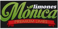 LIMONES MONICA
