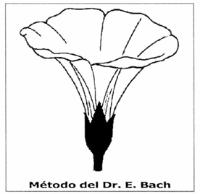 METODO DEL DR. E. BACH