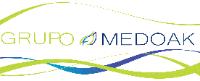 GRUPO MEDOAK; SOCIEDAD ANONIMA DE CAPITAL VARIABLE
