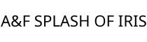 A&F SPLASH OF IRIS