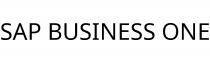 SAP BUSINESS ONE