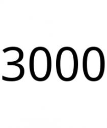 3000