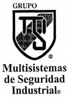 GRUPO MSI MULTISISTEMAS DE SEGURIDAD INDUSTRIAL